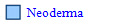   Neoderma